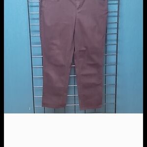 Stylish Burgundy Pants